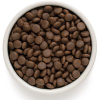 Сухой корм для собак Grandorf Medium & Maxi Breeds Rabbit & Turkey (с кроликом/индейкой) 10 кг