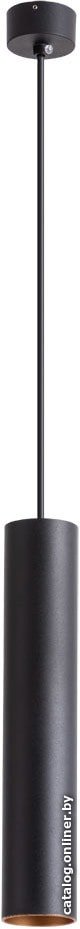 Светильник Arte Lamp Torre A1530SP-1BK