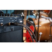 Комбоусилитель Boss Dual Cube LX в Могилеве