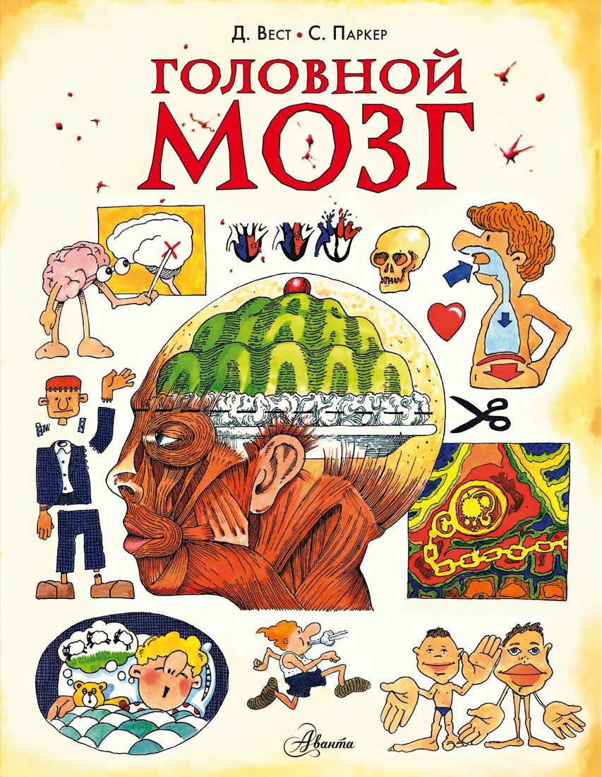 

АСТ. Головной мозг (Стив Паркер)