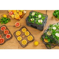 Сушилка для овощей и фруктов Goetze & Jensen FD800