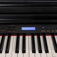 Цифровое пианино Rockdale Fantasia RDP-7088 (черный)