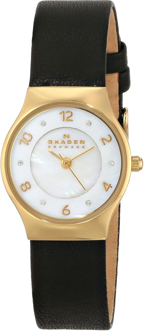 

Наручные часы Skagen SKW2209
