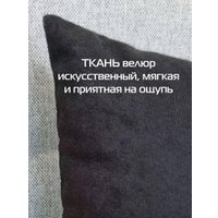 Декоративная подушка Matex Velours 49-951 (2шт, черный)
