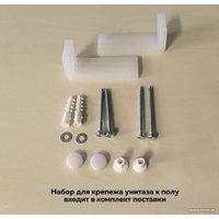 Унитаз напольный Teymi Lina T40103