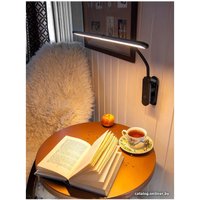 Настольная лампа Lucia Flex Accu Clip L555 (черный)