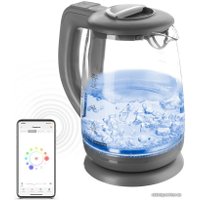 Электрический чайник Redmond (Редмонд) SkyKettle RK-G214S (серый) в Могилеве