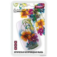 Мышь SmartBuy 327AG Flowers Full-Color Print (SBM-327AG-FL-FC) в Пинске