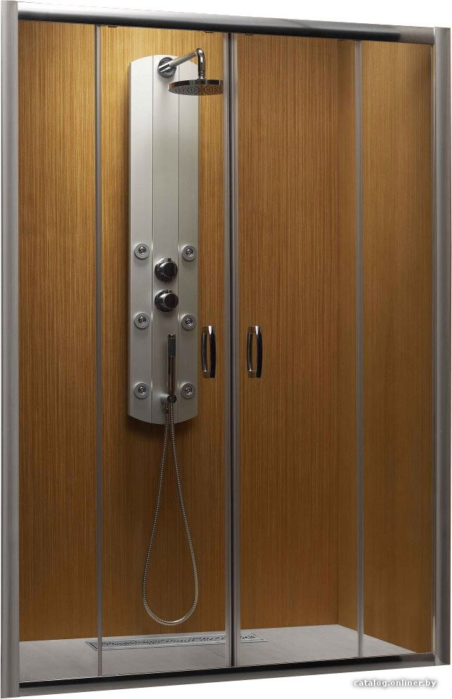 Душевая дверь Radaway Premium Plus DWD 150 (прозрачное стекло)