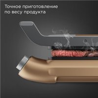 Электрогриль Redmond (Редмонд) SteakMaster GM303 (бронзовый)