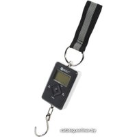 Кухонные весы Garin DS3