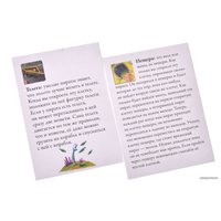 Настольная игра Магеллан Шакал Архипелаг. Остров тысячи пещер