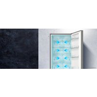 Холодильник Hisense RB-390N4BW2