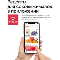 Соковыжималка RED Solution J940