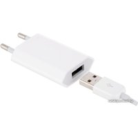 Сетевое зарядное Apple 5W 30-pin EU Power Adapter