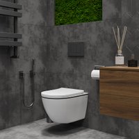 Унитаз подвесной Roxen Antares Black 530110-01B Rimless Soft Close