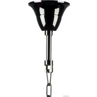 Припотолочная люстра Lightstar Nativo 715287