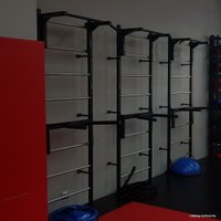 Шведская стенка (лестница) FightTech ST1/3 (комплект брусья, турник)