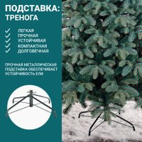 Ель Бифорес Венера микс голубая ВНМГ 165