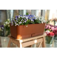 Вазон 5 Plast Прованс Балконный ящик (6 л, терракотовый, с подставкой)