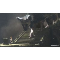  The Last Guardian. Последний хранитель для PlayStation 4