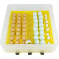 Инкубатор для животных Sititek 96