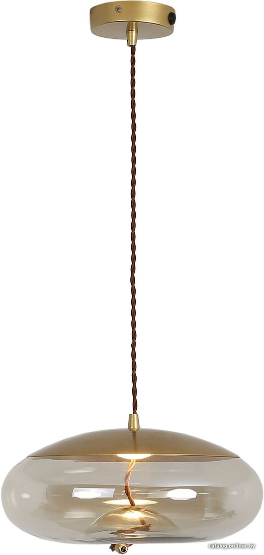 Подвесная люстра Lussole Loft Acquario LSP-8357