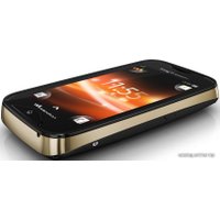 Кнопочный телефон Sony Ericsson Mix Walkman WT13i