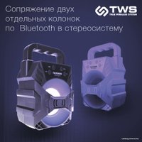 Беспроводная колонка TELEFUNKEN TF-PS1227B
