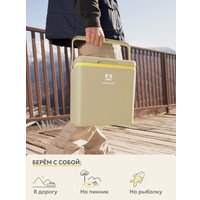 Термобокс Арктика 2200-14-BG 14л (бежевый)