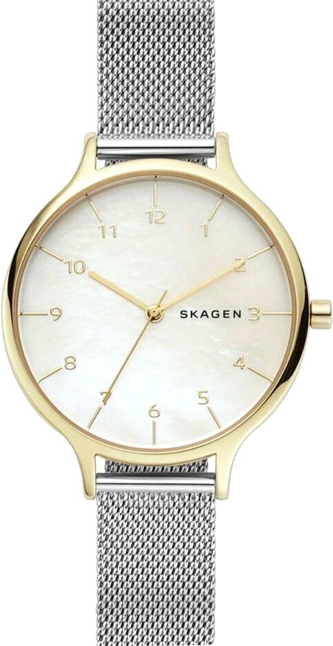 

Наручные часы Skagen SKW2702