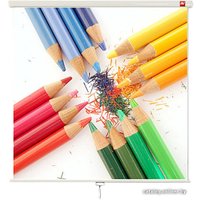Проекционный экран Avtek Wall 200 200x200 (1EVS04)
