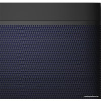Беспроводная колонка Bang & Olufsen Beolit 20 (черный)
