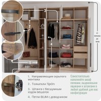 Шкаф распашной Рэйгрупп Рэй S262-В18-3-WKL В18-3 (дуб веллингтон/кобальт/античная латунь)