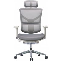 Офисное кресло Ergostyle Sail-G Alum HSAM01-G (белый)