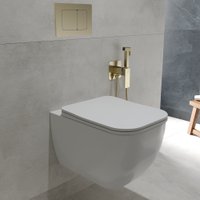 Унитаз подвесной Oliveeka OL-MQ1216E12-BG (золотой матовый)