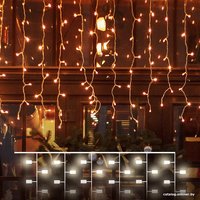 Световой дождь Евросвет 200-101 a056077 (теплый белый)