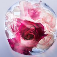 Парфюмерная вода Lancome La Vie Est Belle Rose Extraordinaire EdP (30 мл)