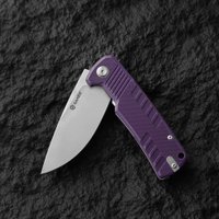 Складной нож Ganzo G769PL