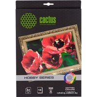 Холст CACTUS Хлопковый холст A4 300 г/кв.м. 10 листов (CS-СA426010)