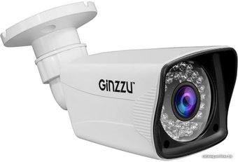CCTV-камера Ginzzu HAB-2036P