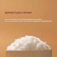 Рисоварка Xiaomi Mijia Induction Heating Rice Cooker 2 4L MFB2BM (с переходником на евровилку)