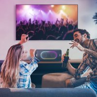 Патибокс Panasonic SC-TMAX45