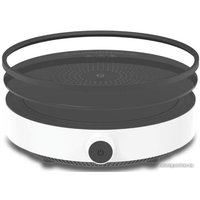 Настольная плита Xiaomi Induction Cooker Lite DCL002CM (с переходником на евровилку)