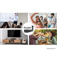 Беспроводная колонка Pure Acoustics Sing Bar