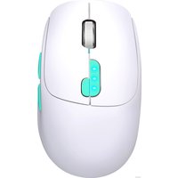 Мышь Defender Nitta MM-307 в Гродно