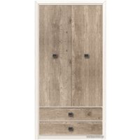 Шкаф распашной BRW Коен SZF2D2S (ясень снежный/сосна натуральная)