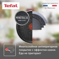 Сковорода Tefal Rock 04235124