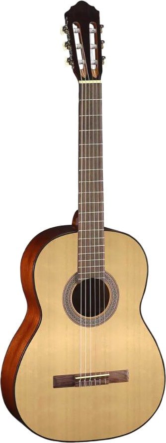 

Акустическая гитара Cort AC100 SG