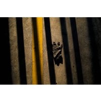 Фотоаппарат Fujifilm X100VI (черный)